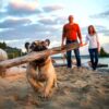 Mini Dog Trekking per Cuccioli - immagine 6