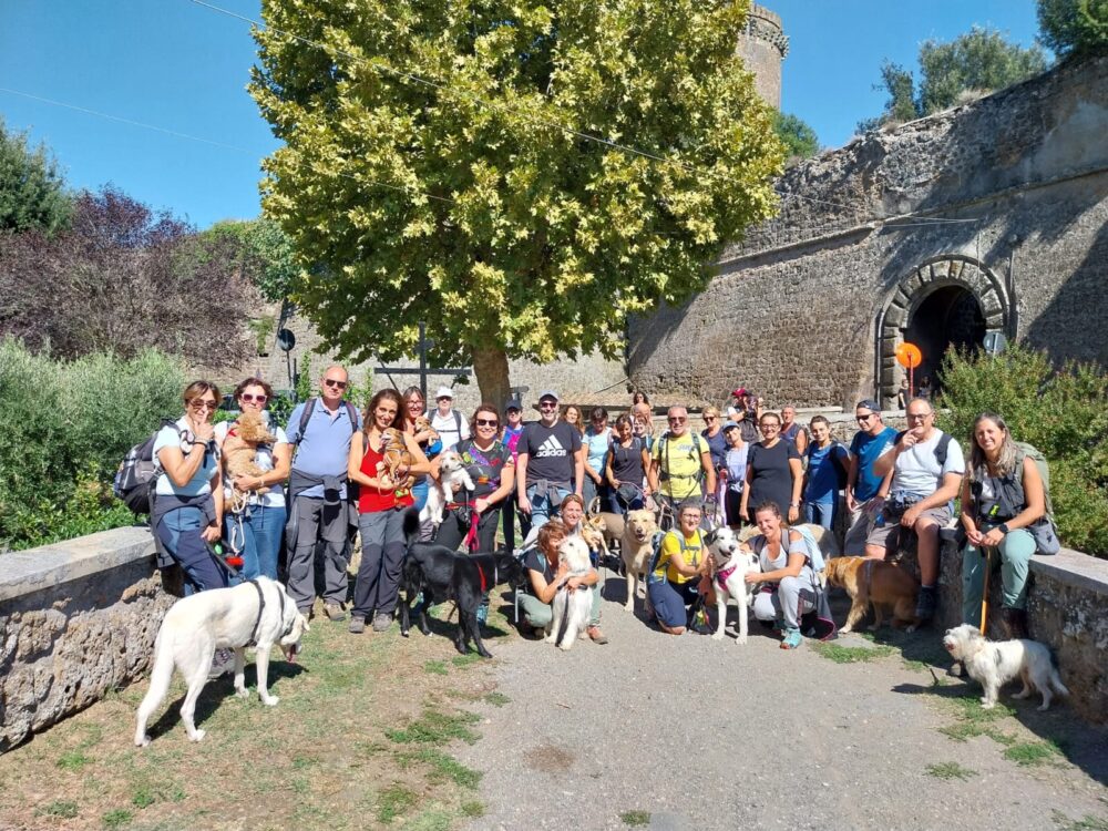 Dog Trek al Parco Marturanum e Necropoli di San Giuliano con Pranzo Natalizio