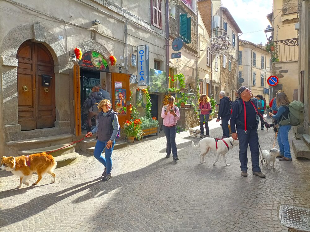 Passeggiata nel Centro Storico di Cesena e Aperitivo di Gruppo