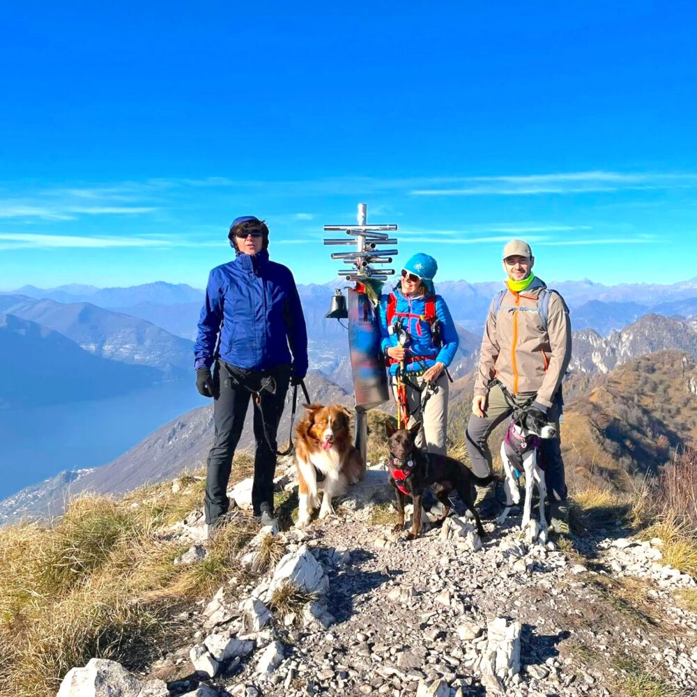 Dog Trek Panoramico a Punta Almana: un Balcone sul Sebino