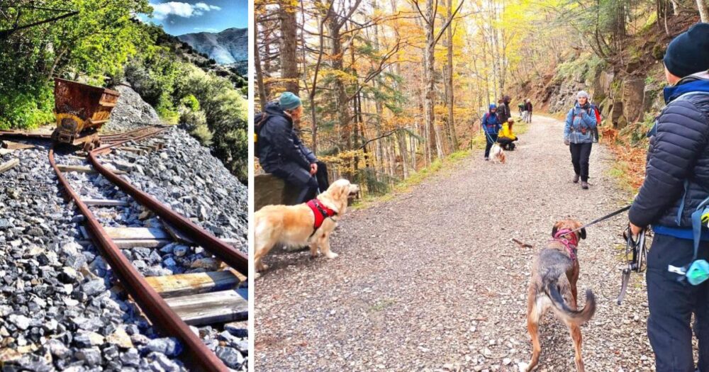 Dog Trekking Il Pensiero dei Minatori