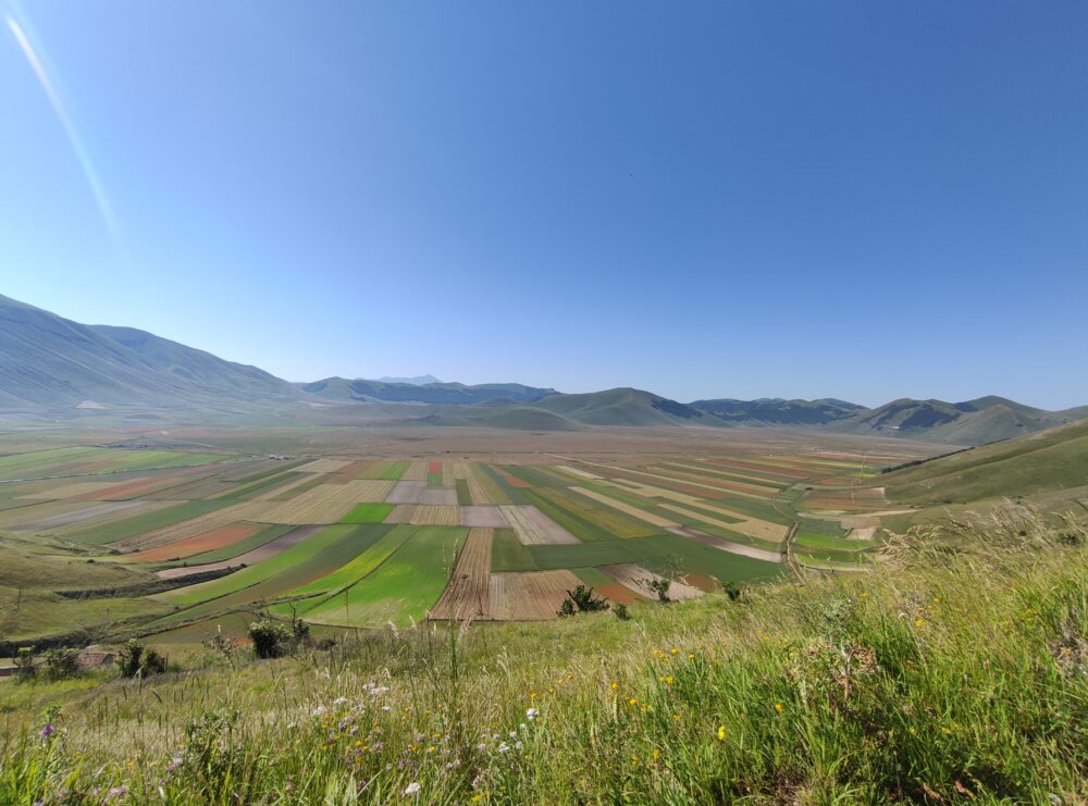 Dog Trekking a Castelluccio di Norcia