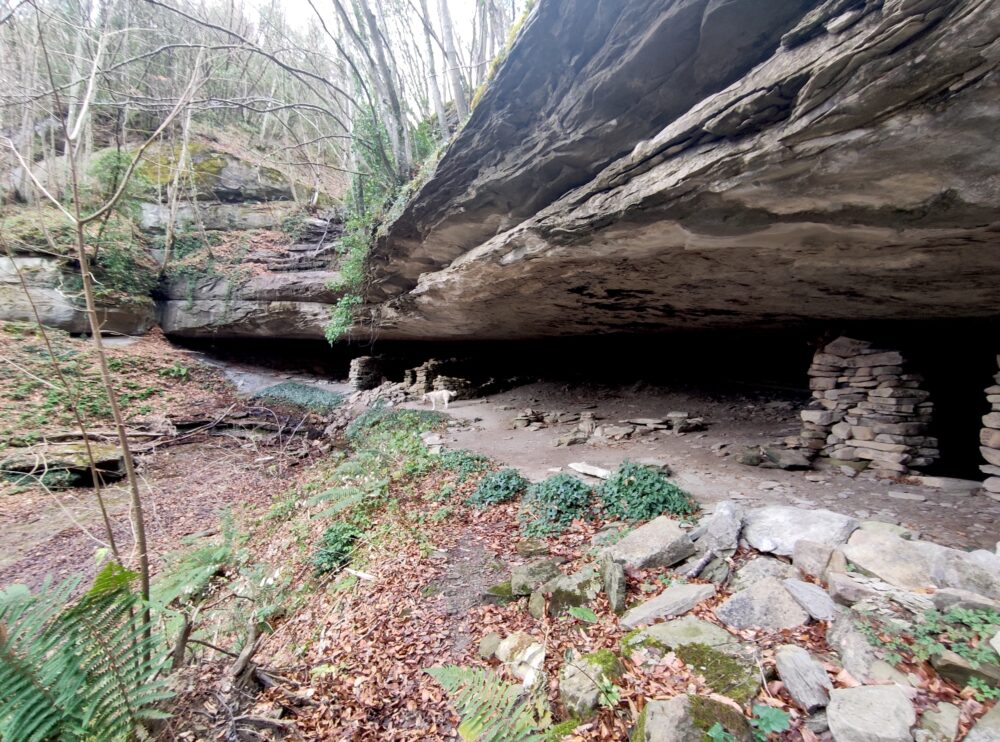 Dog Trekking alla Grotta Sasso Petruccio