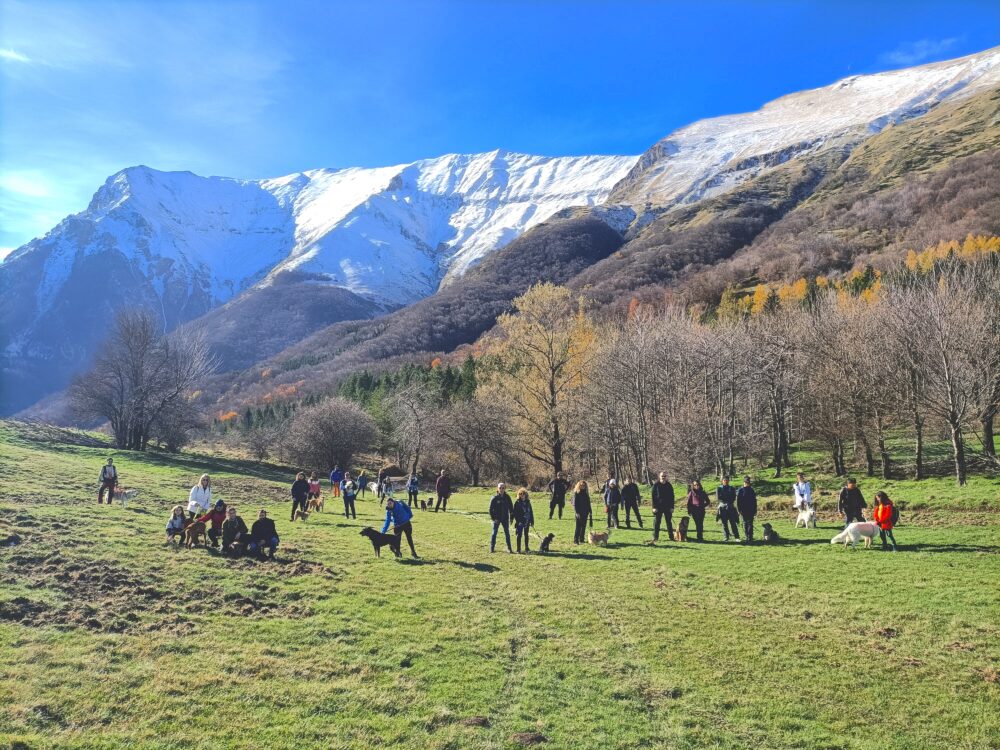 Dog Trekking sul Sentiero dei Mietitori con Degustazione in Rifugio