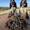Ricerca al Tartufo col Tuo Cane e Pranzo a Base di Tartufo - immagine 9
