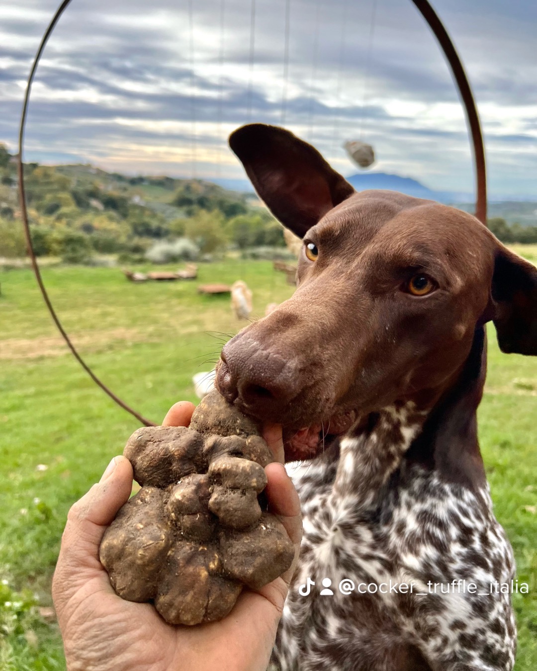 La-Montagnola-Truffe-Experience-IMG_3925