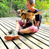 Passeggiata Educativa al Lago Azzurro - immagine 3