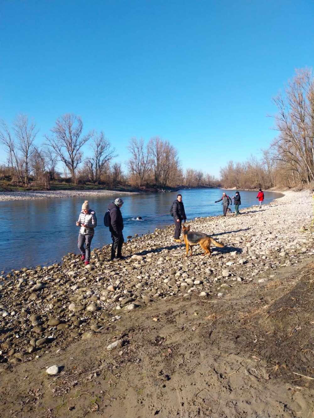 Passeggiata Educativa con il Tuo Cane lungo il Fiume Adda