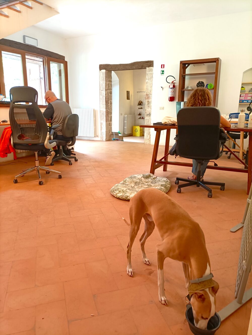 Due Settimane di Smart Working in borgo col tuo cane