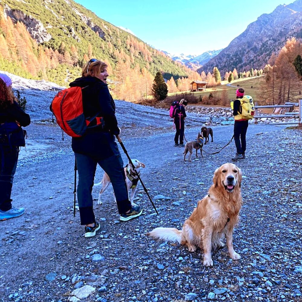 Tour Foliage Autunnale Borgo di Bormio e sue Valli