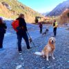 Mini Dog Trekking per Cuccioli - immagine 3