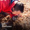 Ricerca al Tartufo Bianco con Degustazione - immagine 5