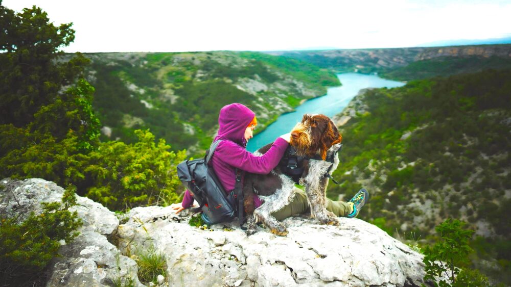 Dog Trekking nel Parco di Montevecchia Curone