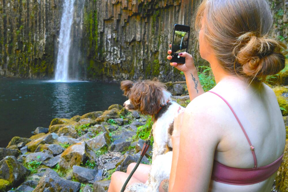 Dog Trekking alle Cascate dell’Alferello