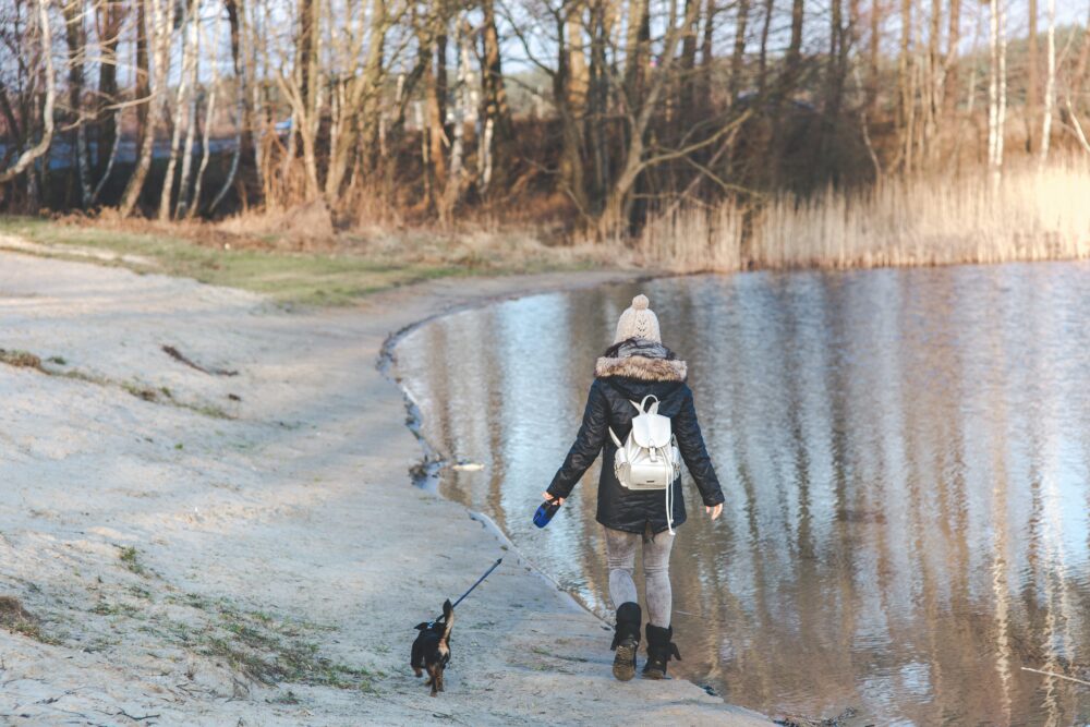 Dog Trekking a Poggio Bustone tra Storia e Natura