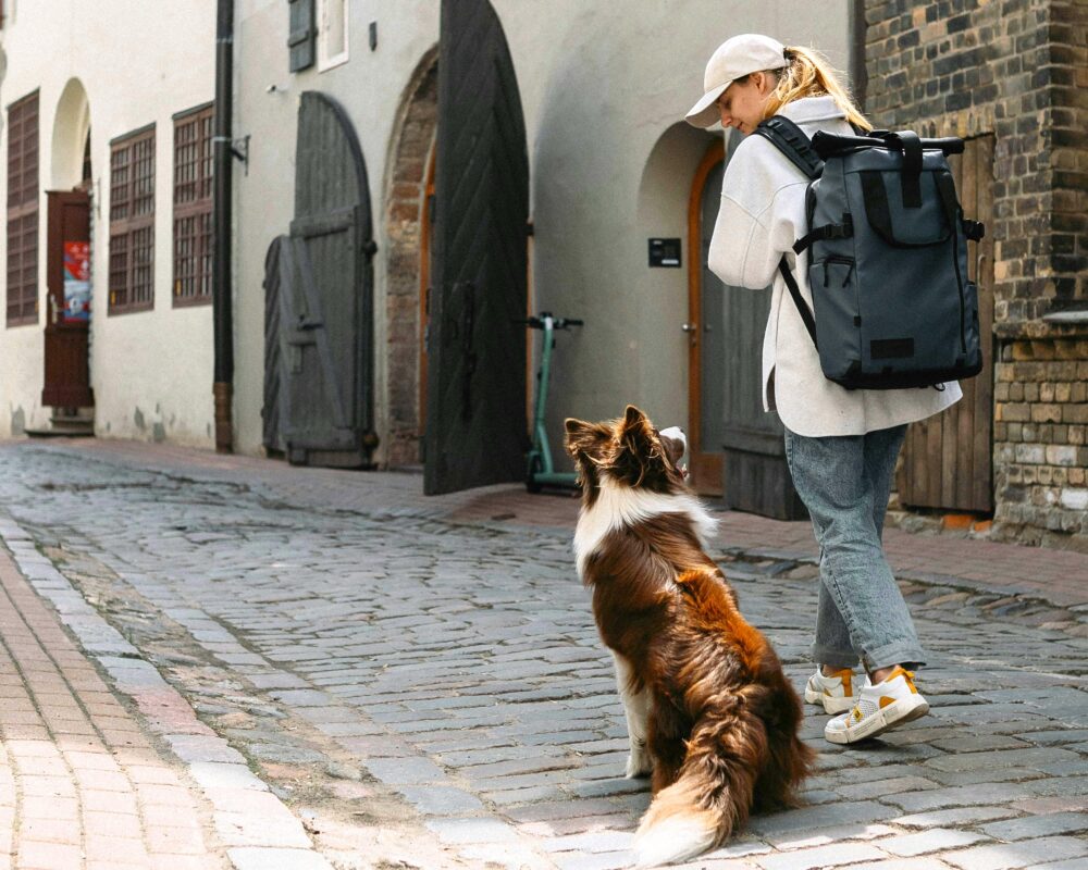 Urban Trek sui Colli alla Scoperta di Bergamo