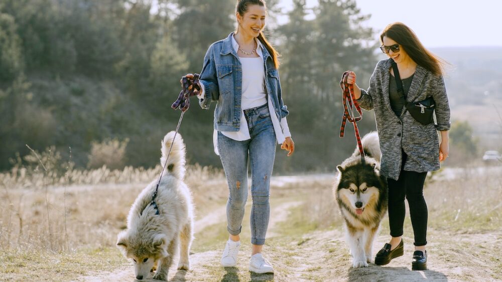 Passeggiata Educativa di Gruppo al Parco di Levante Cesenatico